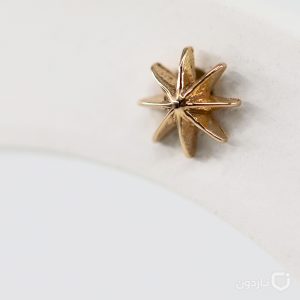 گوشواره میخی ستاره